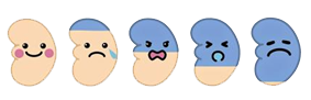 腎臓が徐々に黒くなっていくイラスト